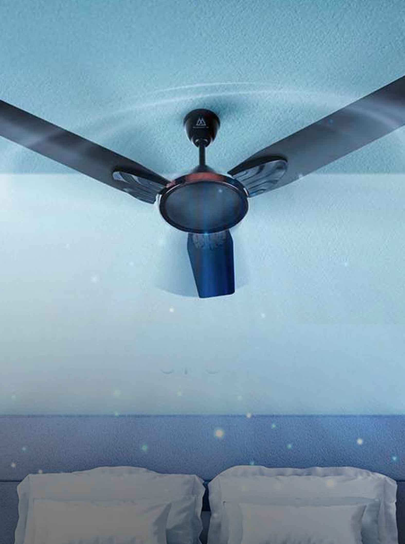 fan